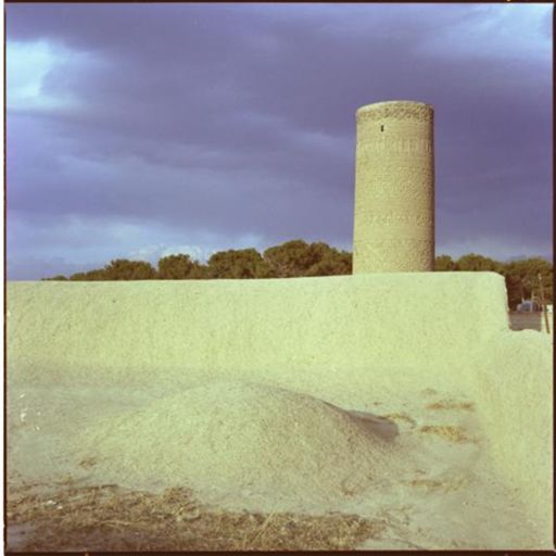 Jameh Mosque of Saveh