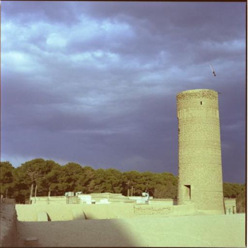 Jameh Mosque of Saveh