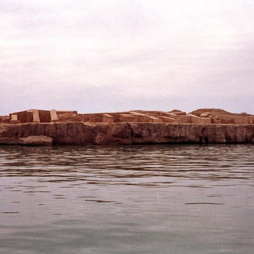 Pearl and Shellfish Harvesting Facilities