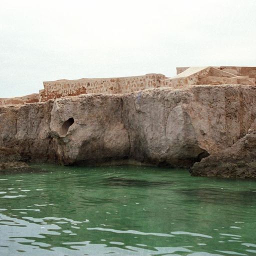 Pearl and Shellfish Harvesting Facilities