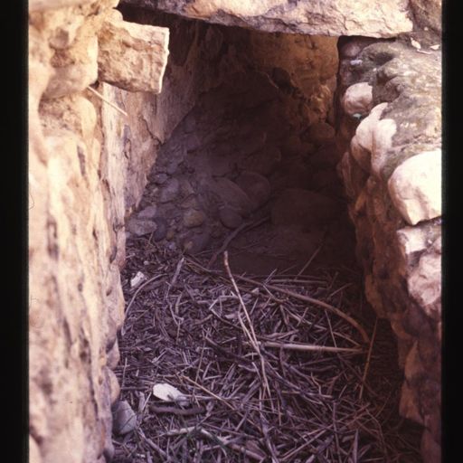 Arrajan's bridge