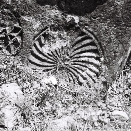 Ancient Cemetery of Heyran Village